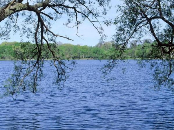 2629 TURTLE SHORES, Bloomfield Twp, MI 48302