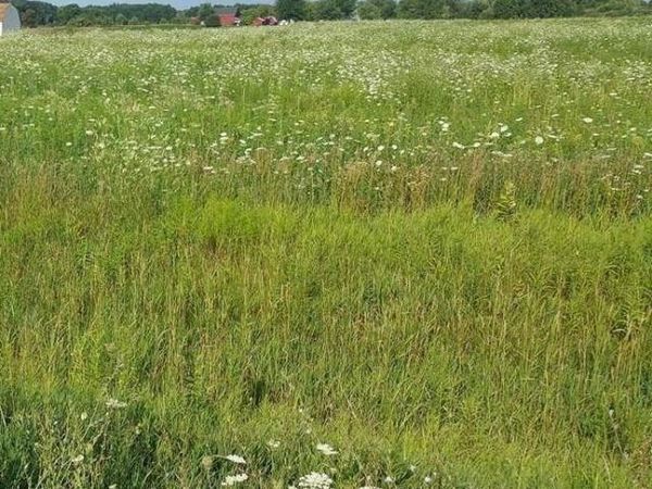 CAPAC Road, Mussey Twp, MI 48014