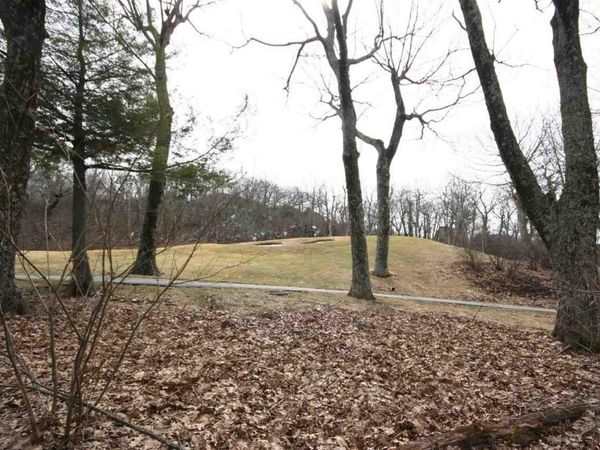 355 DEVILS KNOB LOOP, WINTERGREEN, VA 22958