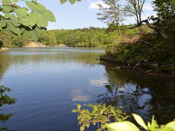 Lot 12 Old Mill Lane, HEATHSVILLE, VA 22432