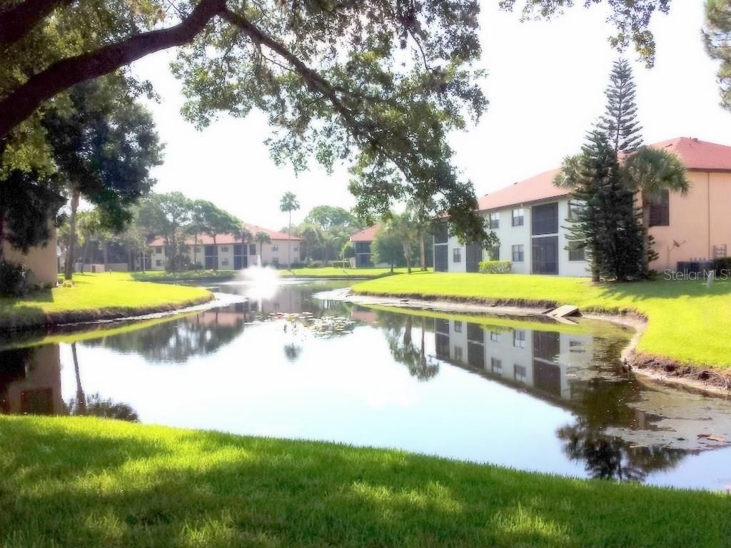 4449 46th Avenue W, Unit 4449, Bradenton, FL 34210 Photo