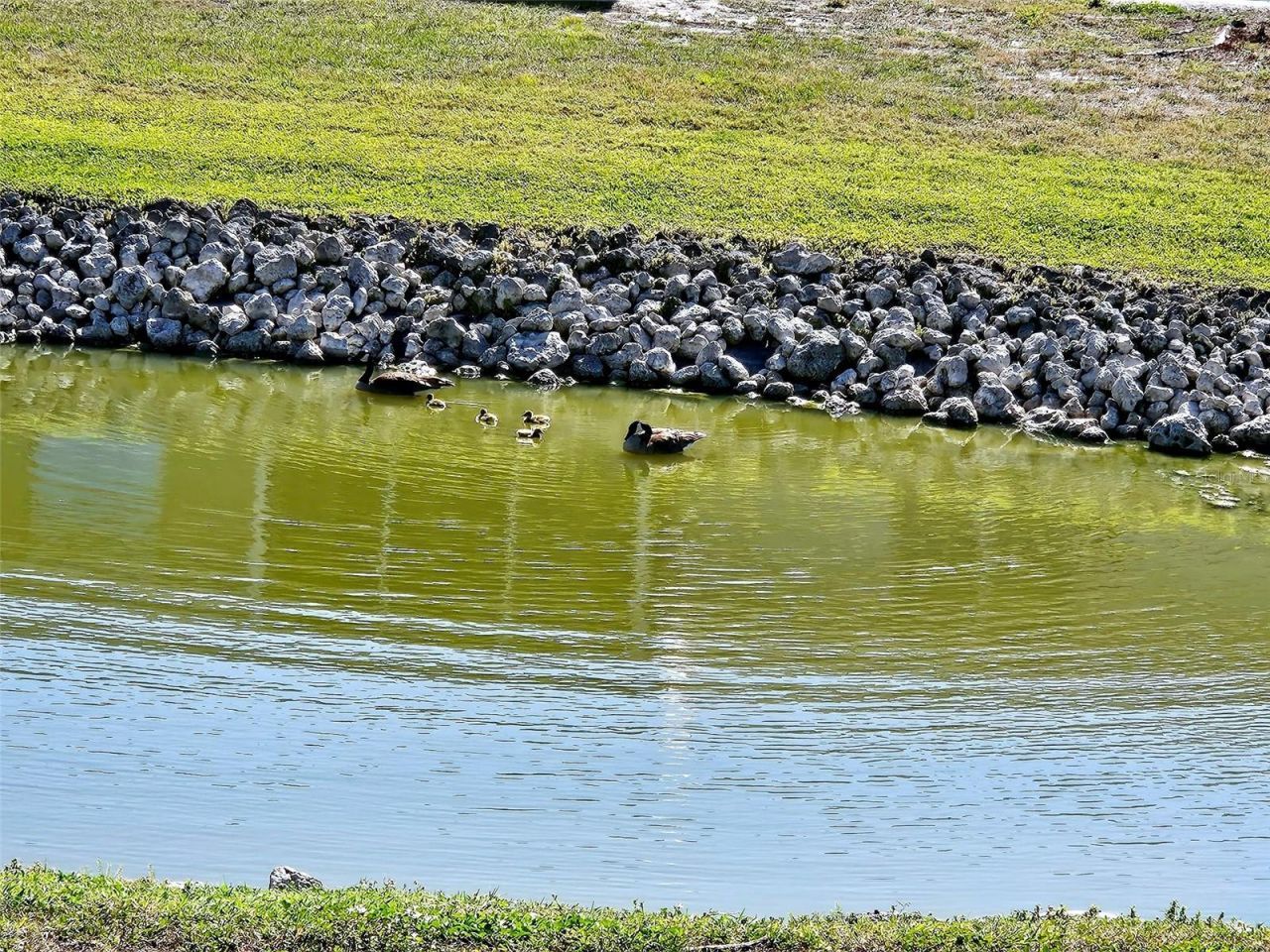 4107 41st Street W, Bradenton, FL 34205 Photo