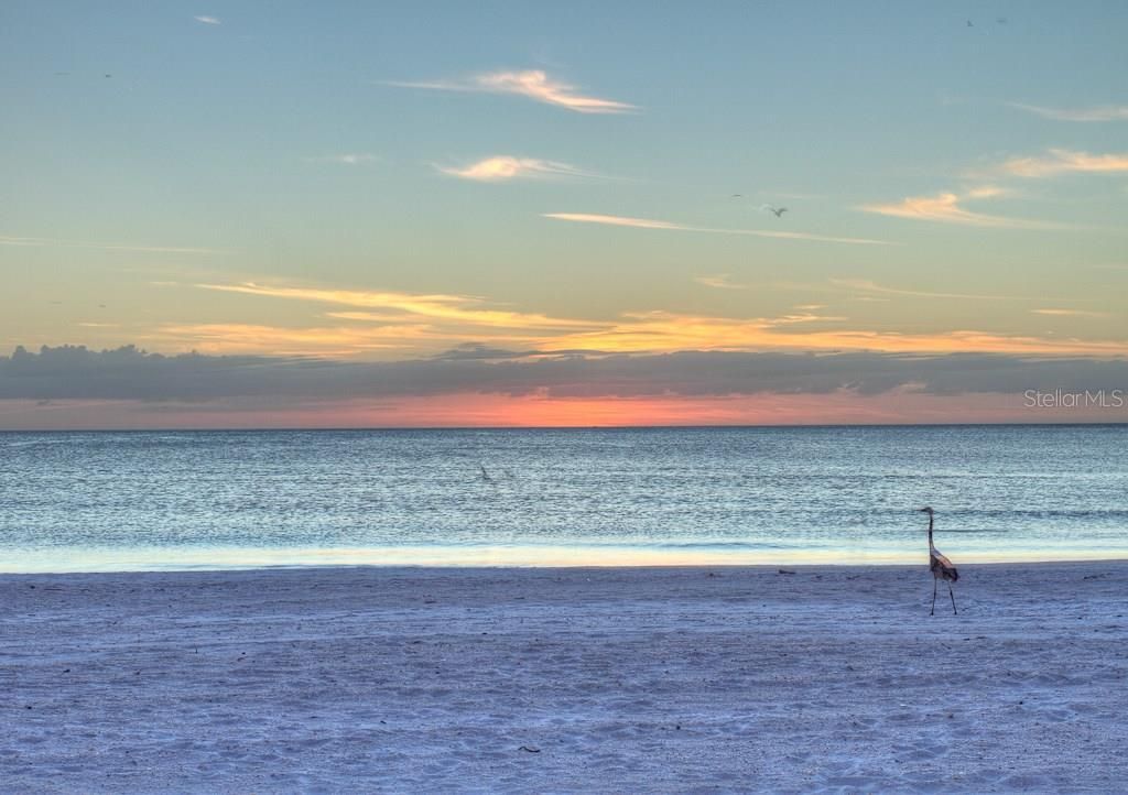 800 Benjamin Franklin Drive, Unit 704, Sarasota, FL 34236 Photo