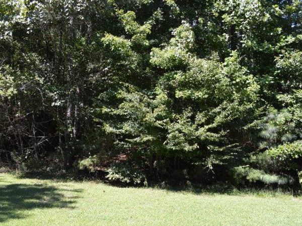 Lot114 Buoy Drive, HEATHSVILLE, VA 22473