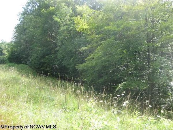 Lot 2 Northlake Development Drive, Davis, WV 26260
