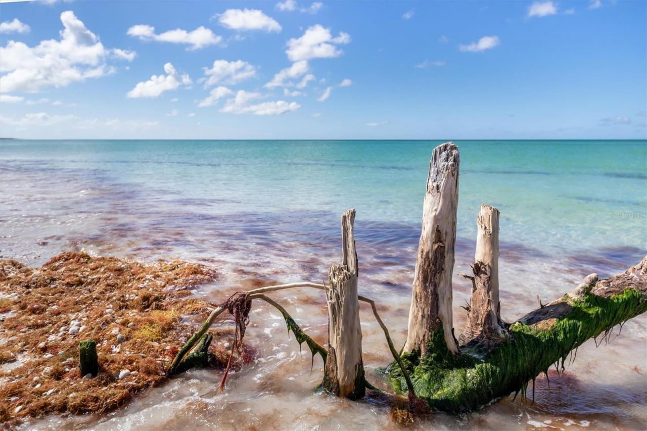 9498 Alborado Road, Placida, FL 33946 Photo