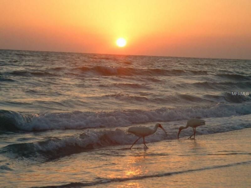 9400 Little Gasparilla Island, Unit F9, Placida, FL 33946 Photo