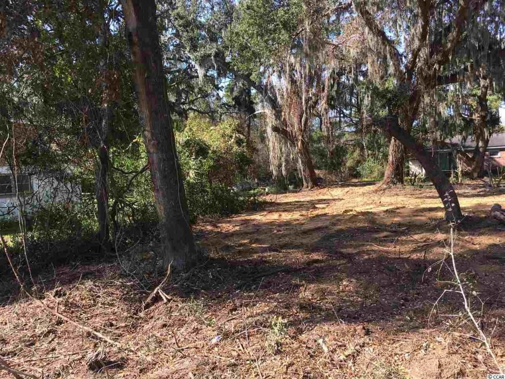 000 Ocean Highway Photo 4