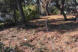 000 Ocean Highway photo 4