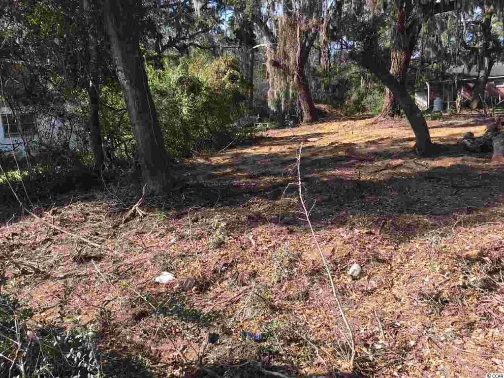 000 Ocean Highway Photo 6