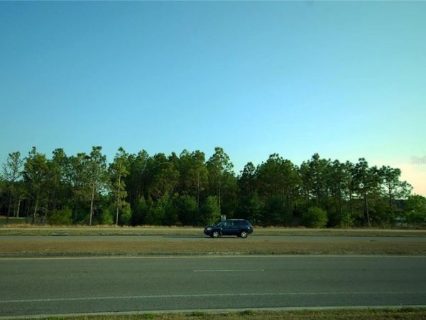 30150 OVERPASS ROAD, WESLEY CHAPEL, FL 33545