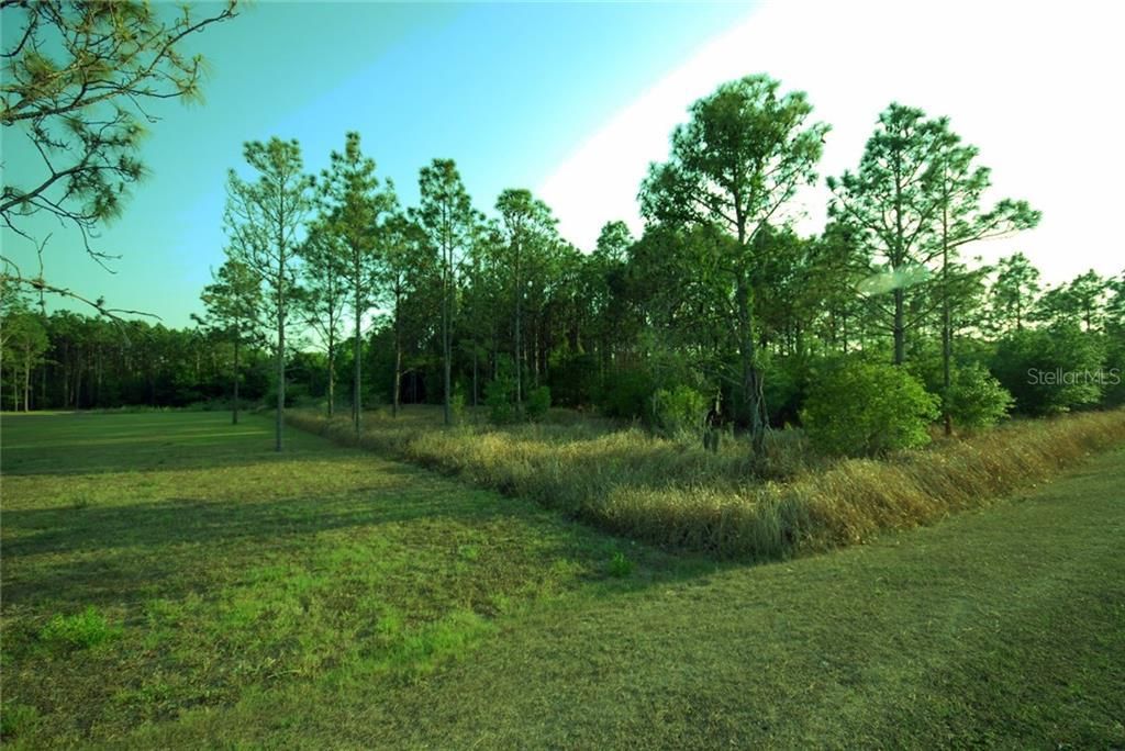 30150 Overpass Road, Wesley Chapel, FL 33545 Photo