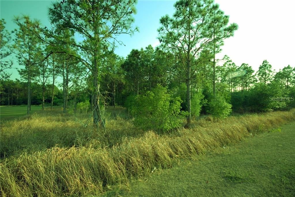 30150 Overpass Road, Wesley Chapel, FL 33545 Photo