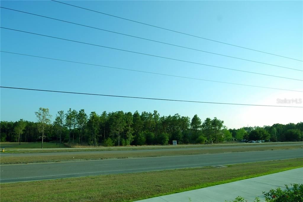 30150 Overpass Road, Wesley Chapel, FL 33545 Photo