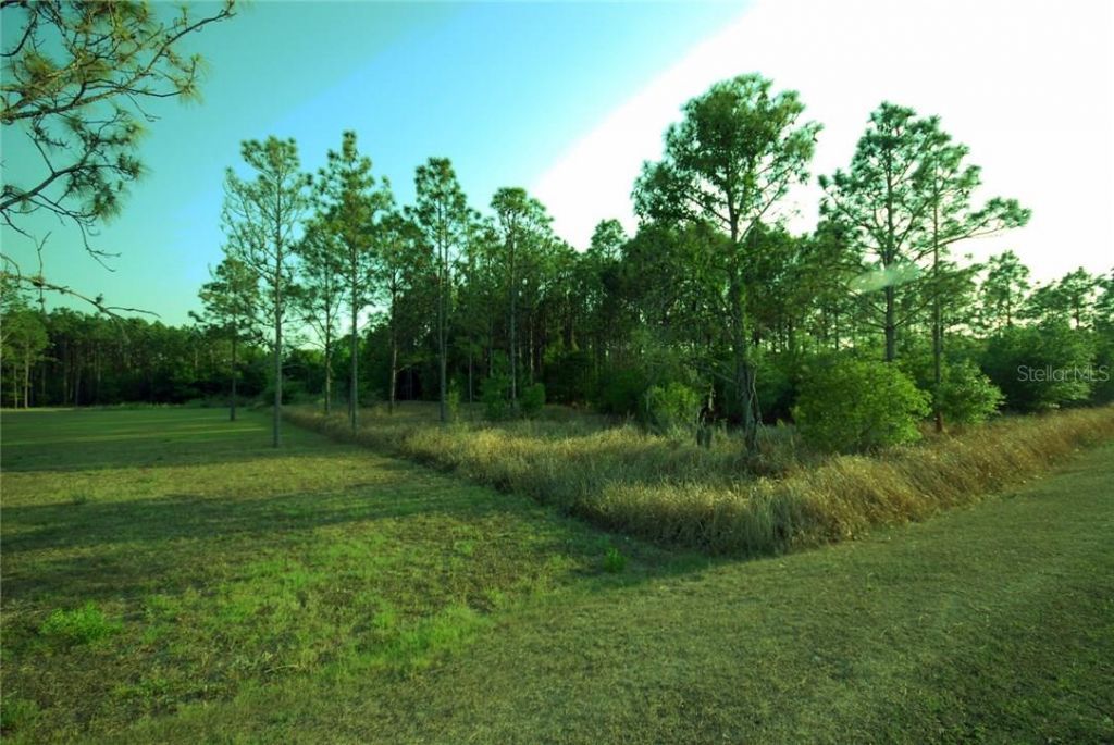 30150 Overpass Road, Wesley Chapel, FL 33545 Photo