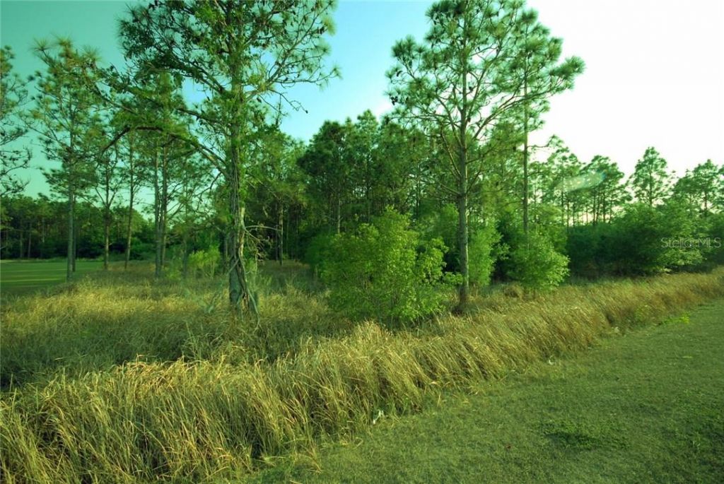 30150 Overpass Road, Wesley Chapel, FL 33545 Photo