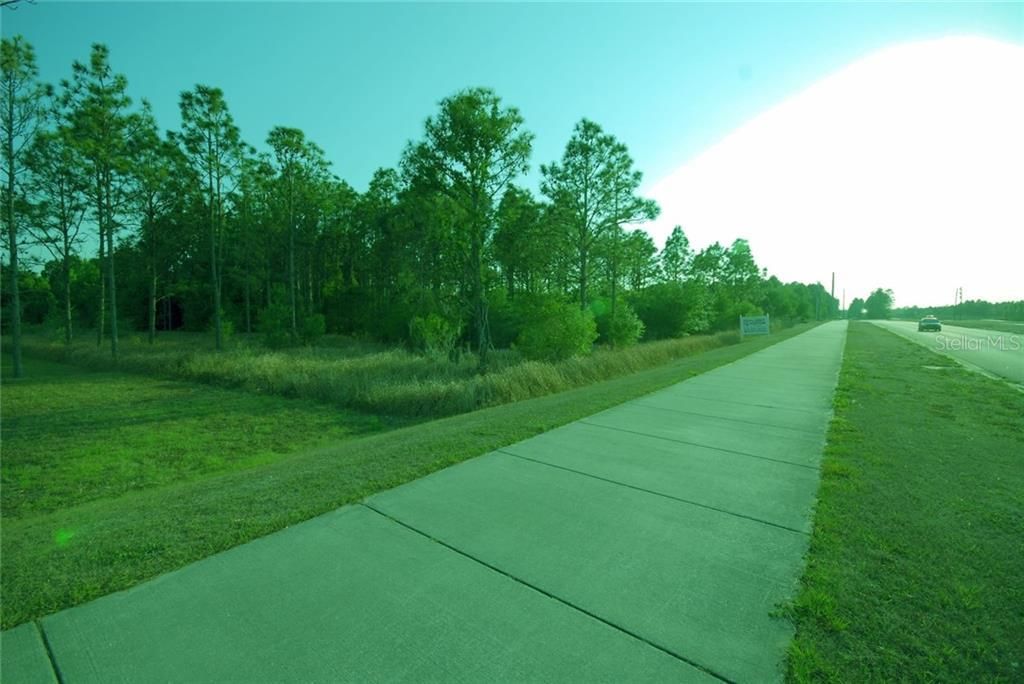 30150 Overpass Road, Wesley Chapel, FL 33545 Photo