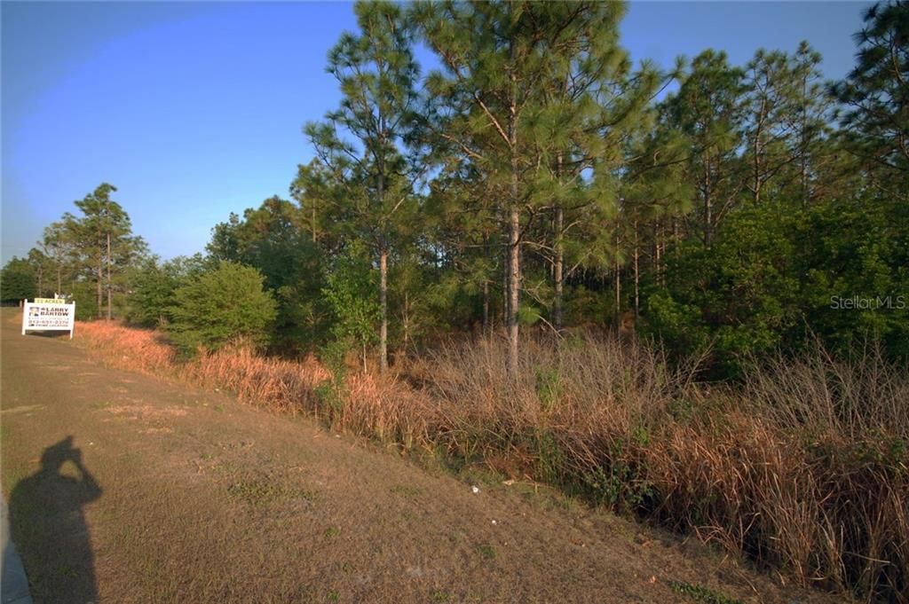 30150 Overpass Road, Wesley Chapel, FL 33545 Photo