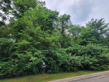 Lot 24 - Rexford Court, Hamburg Twp, MI 48116