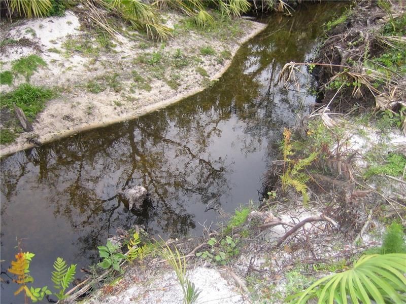 41025 E 20th Place, Myakka City, FL 34251 Photo