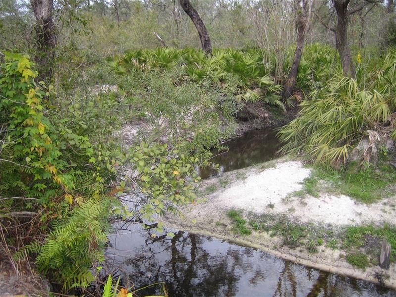 41025 E 20th Place, Myakka City, FL 34251 Photo