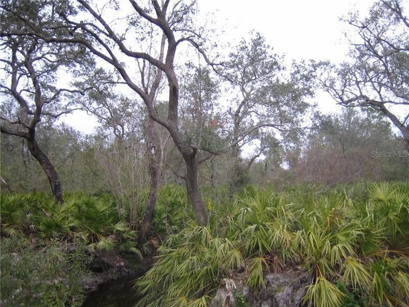 41025 E 20th Place, Myakka City, FL 34251 Photo