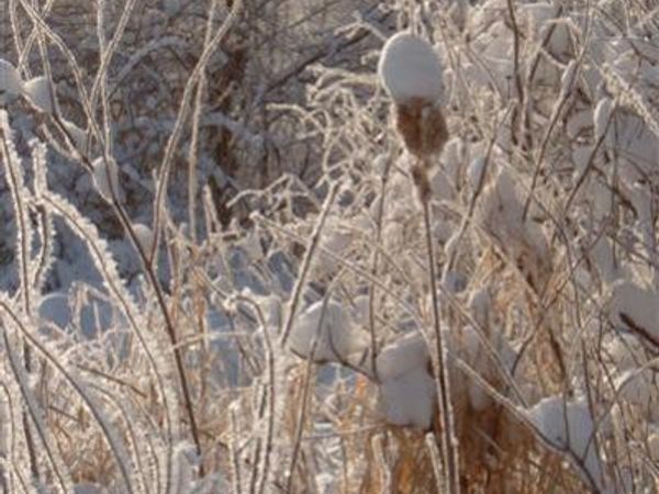 1167 E Michigan Avenue, Battle Creek, MI 49014