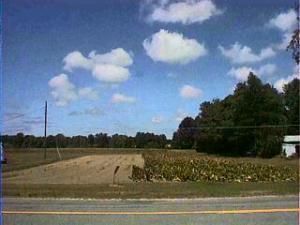 Becht Road, Coloma, MI 49038 Main Photo