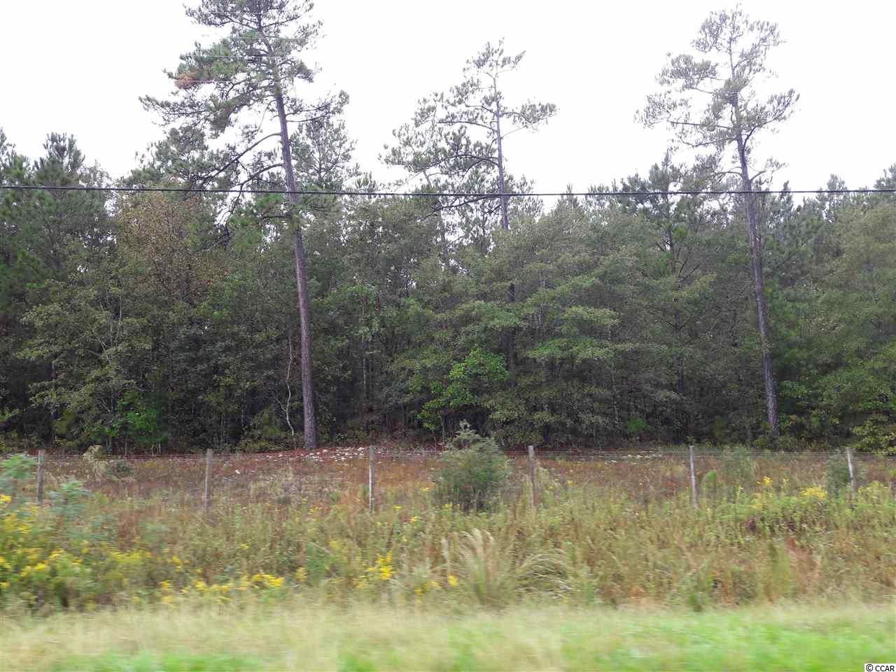 Tract 1 Highway 9 Photo 13