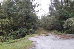 Tract 1 Highway 9 photo 4