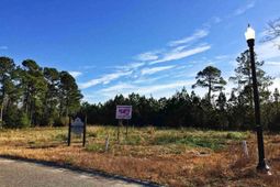 Lot 11 Professional Park Dr. photo 4