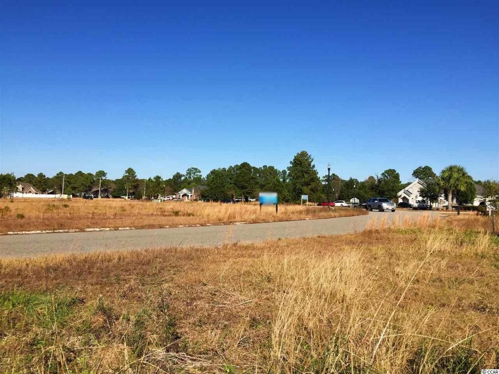 Lot 11 Professional Park Dr. Photo 5