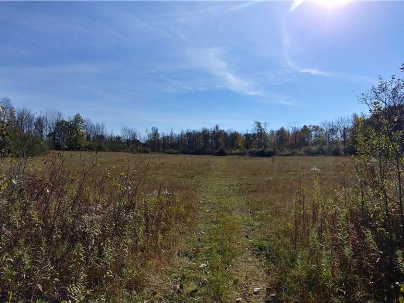 Aurora Hill Drive, Aurora, OH 44202 Photo 4