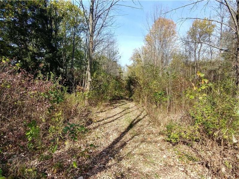 Aurora Hill Drive, Aurora, OH 44202 Photo 7