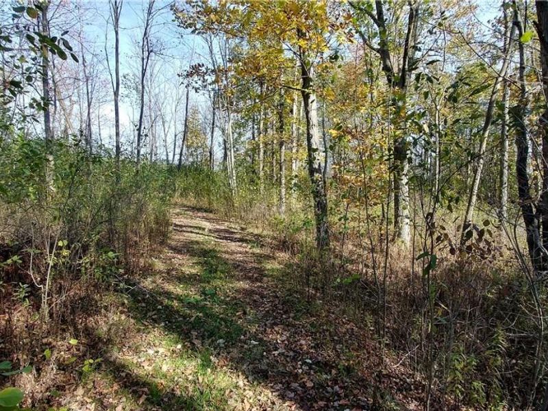 Aurora Hill Drive, Aurora, OH 44202 Photo 8