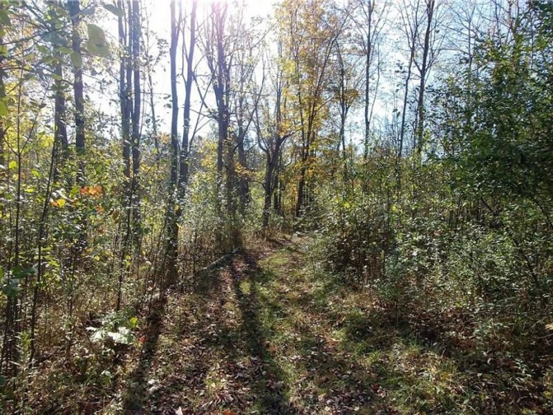 Aurora Hill Drive, Aurora, OH 44202 Photo 9