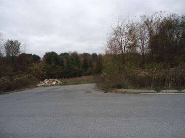 tbd Lot 4 PRATTS RUN LN, WAYNESBORO, VA 22980