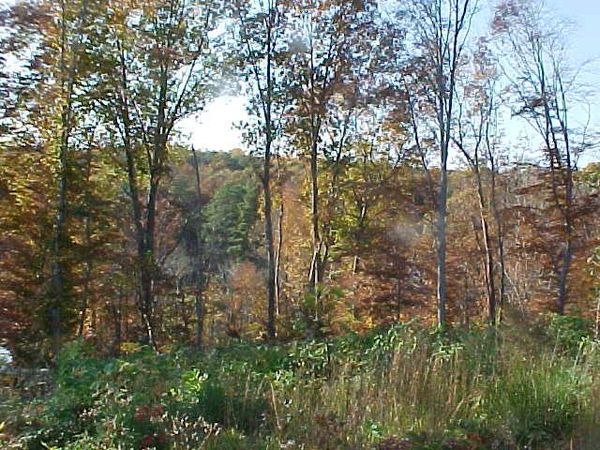 145 Laurel Lane, WARSAW, VA 22572