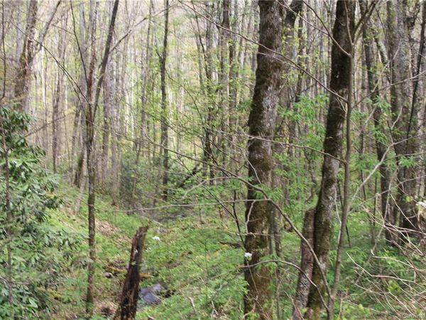 0000 Big Spring Trail, Qualla, NC 28719