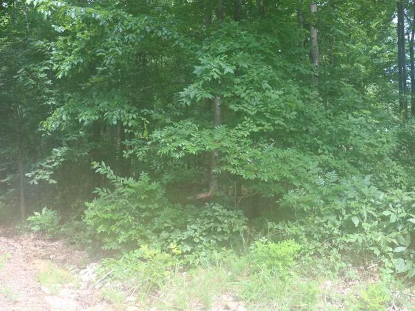 YMCA S MUSCATEL & YMCA LN, Counce, TN 38326