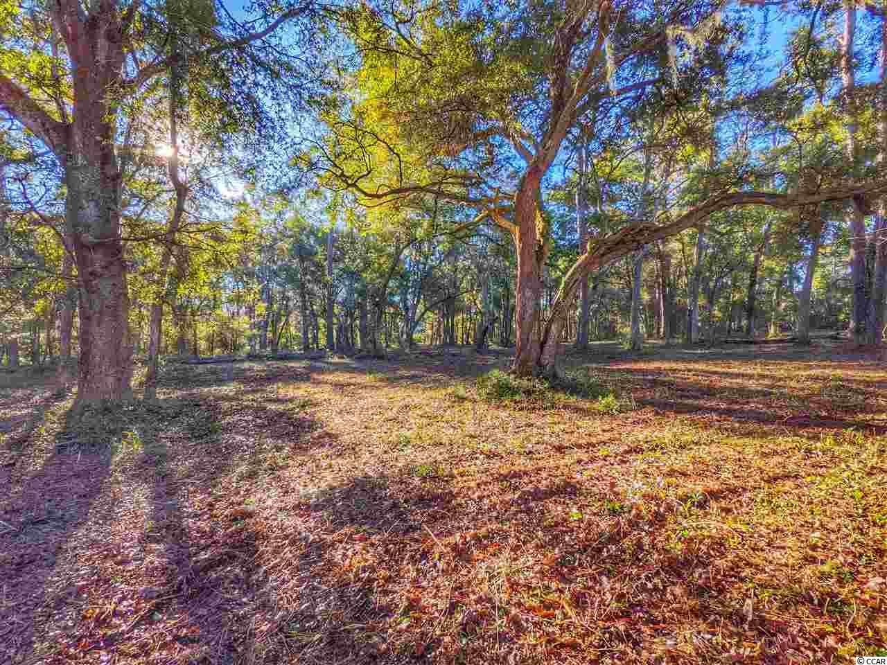 0 Ocean Hwy., Pawleys Island, SC 29585 Main Photo