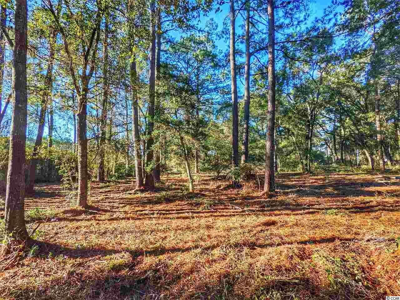 0 Ocean Hwy. Photo 20