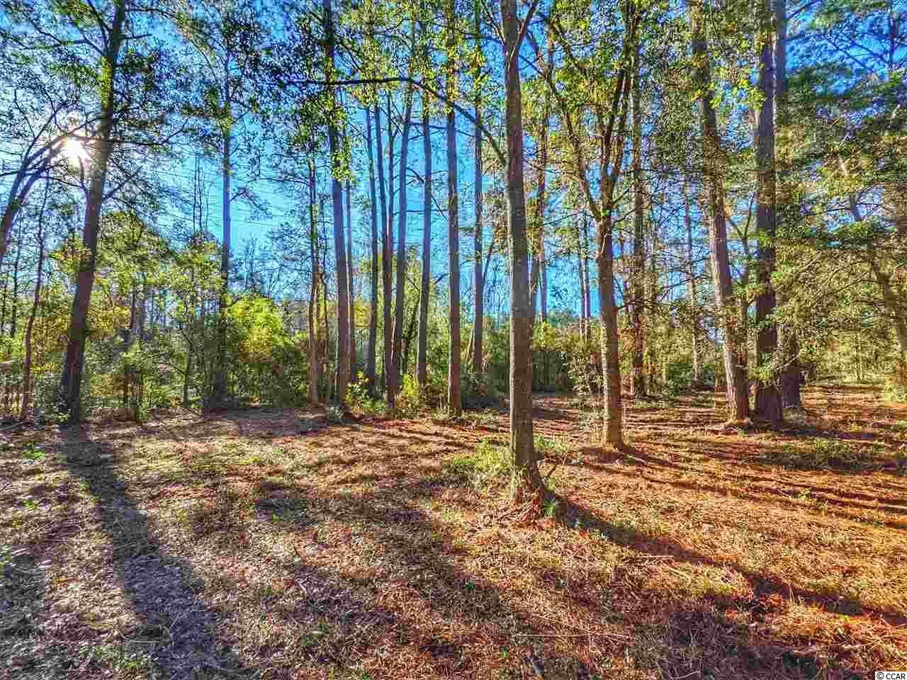 0 Ocean Hwy. Photo 21