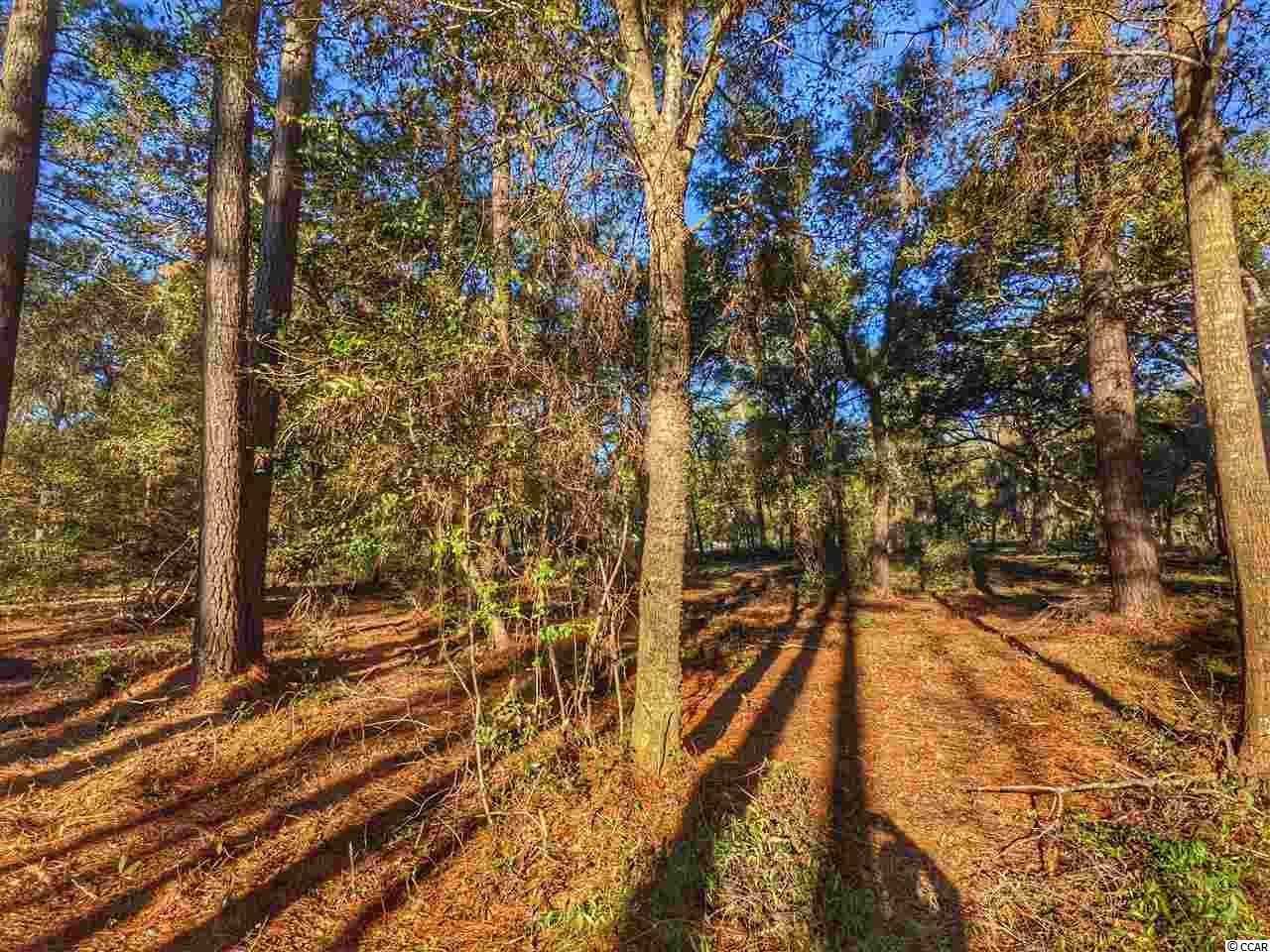 0 Ocean Hwy. Photo 22