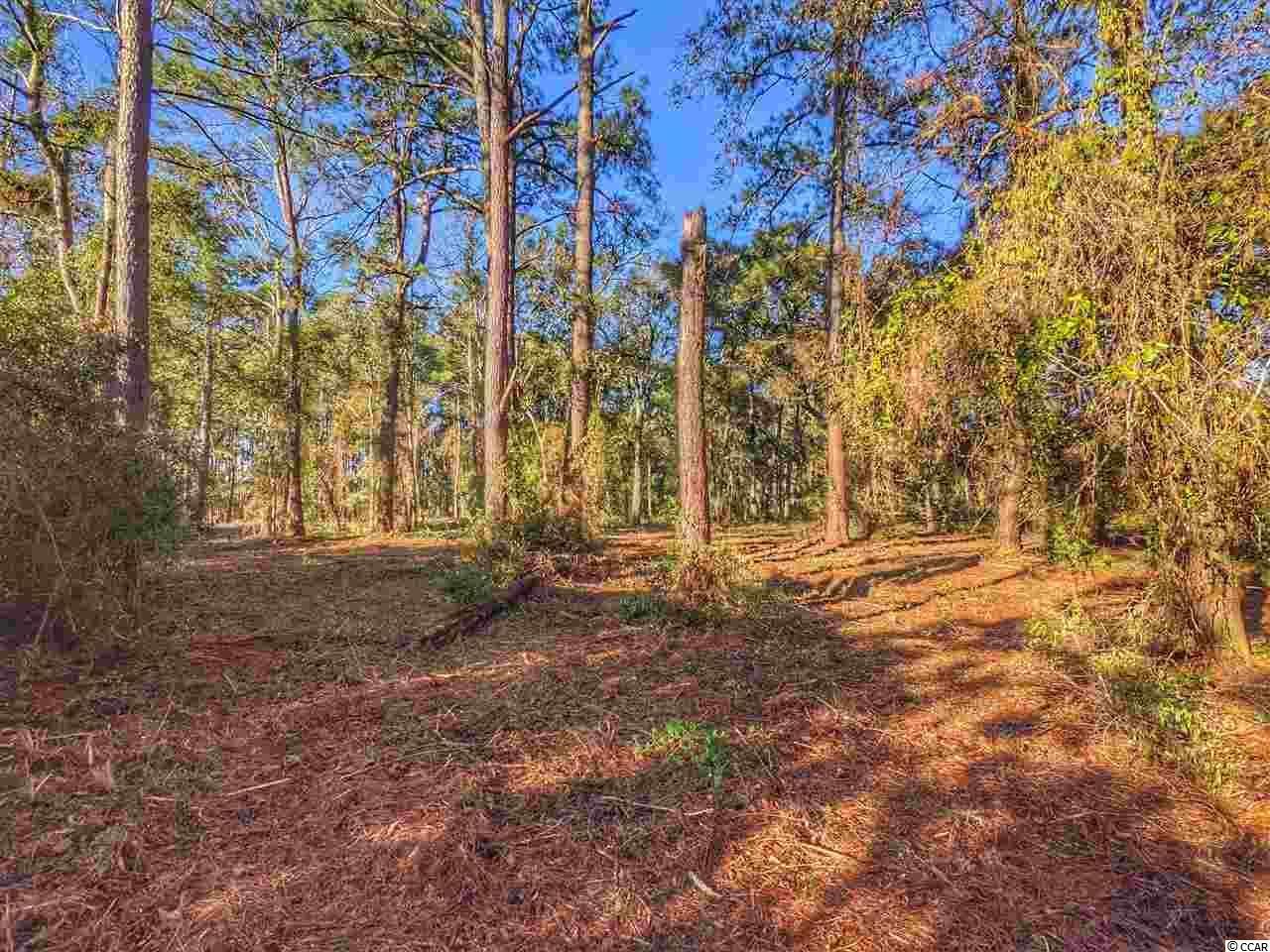 0 Ocean Hwy. Photo 24