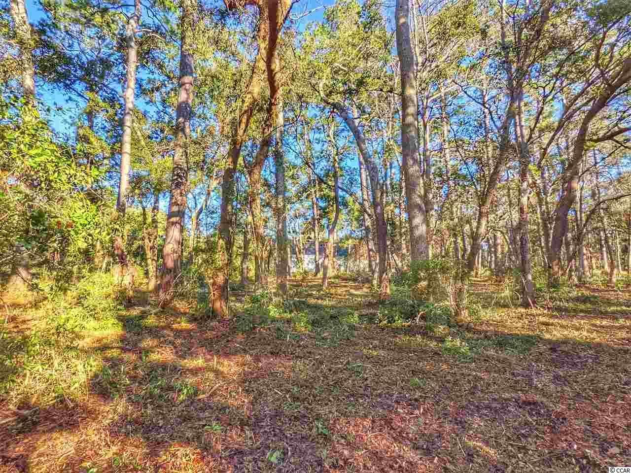 0 Ocean Hwy. Photo 26