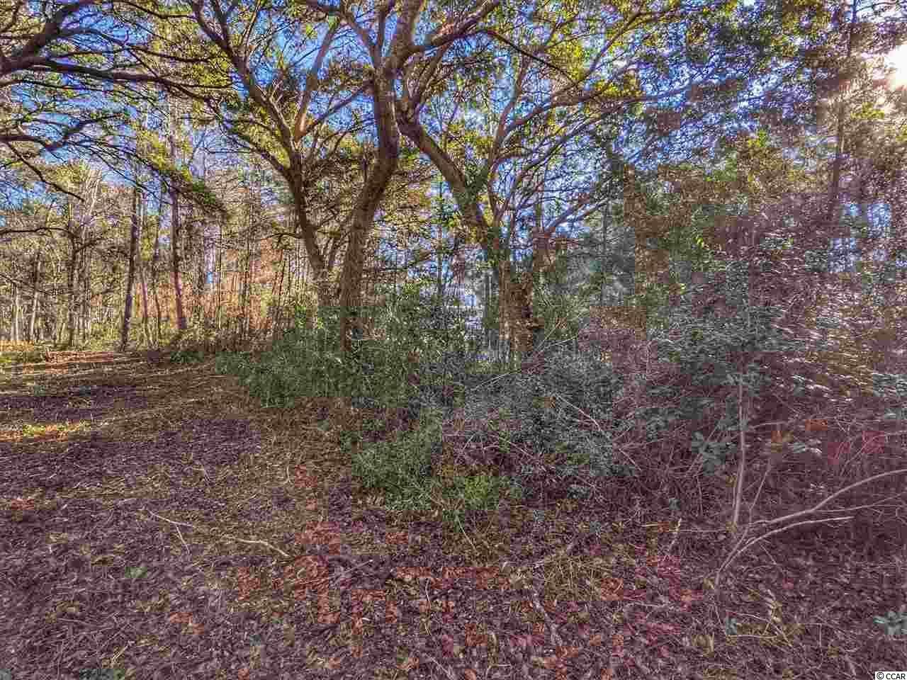 0 Ocean Hwy. Photo 28