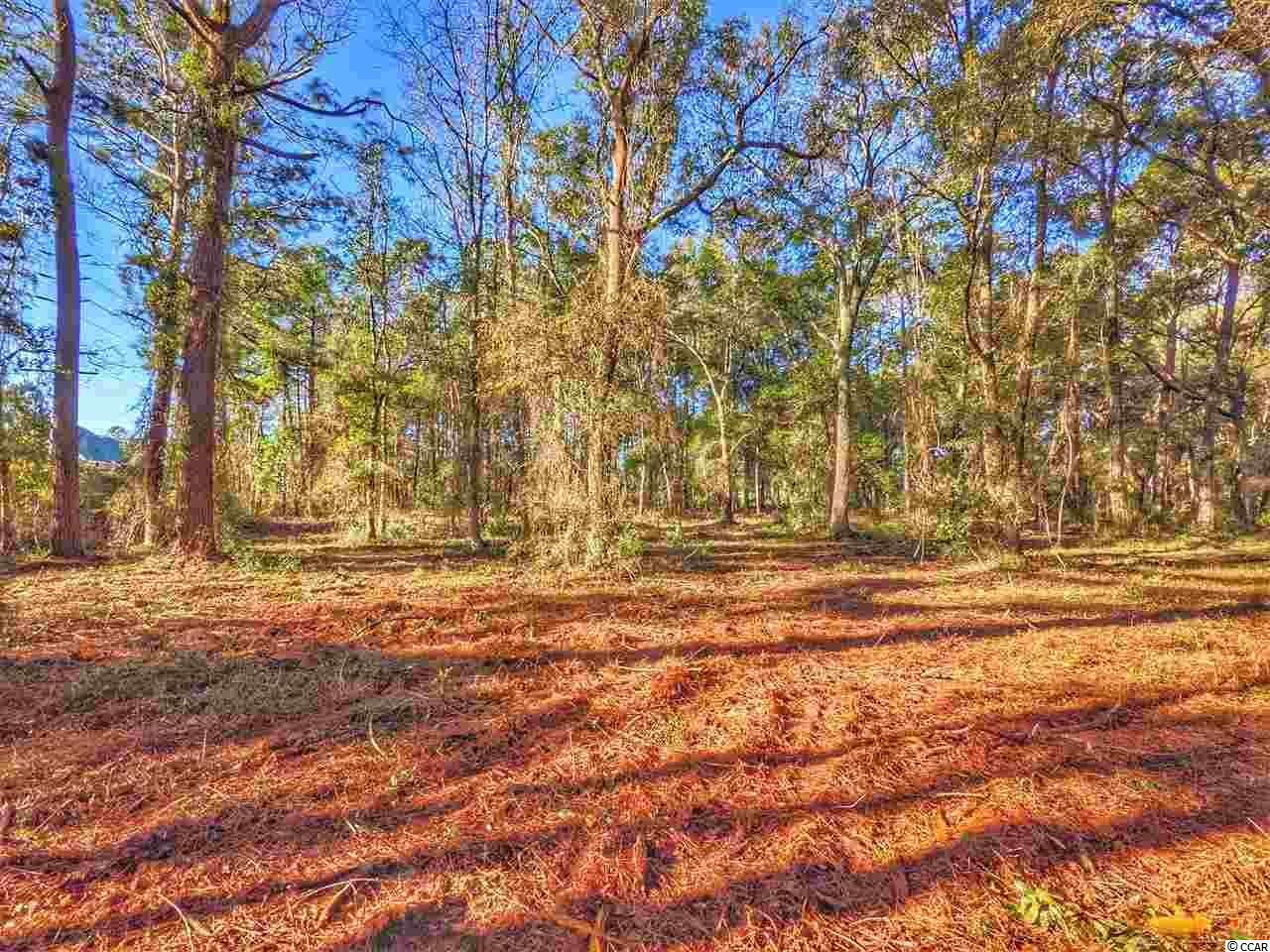 0 Ocean Hwy. Photo 29