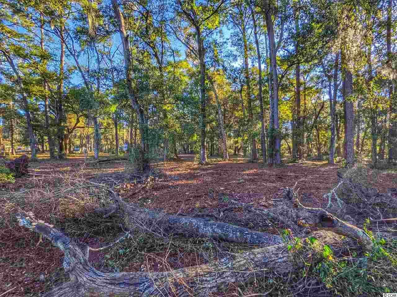 0 Ocean Hwy. Photo 3