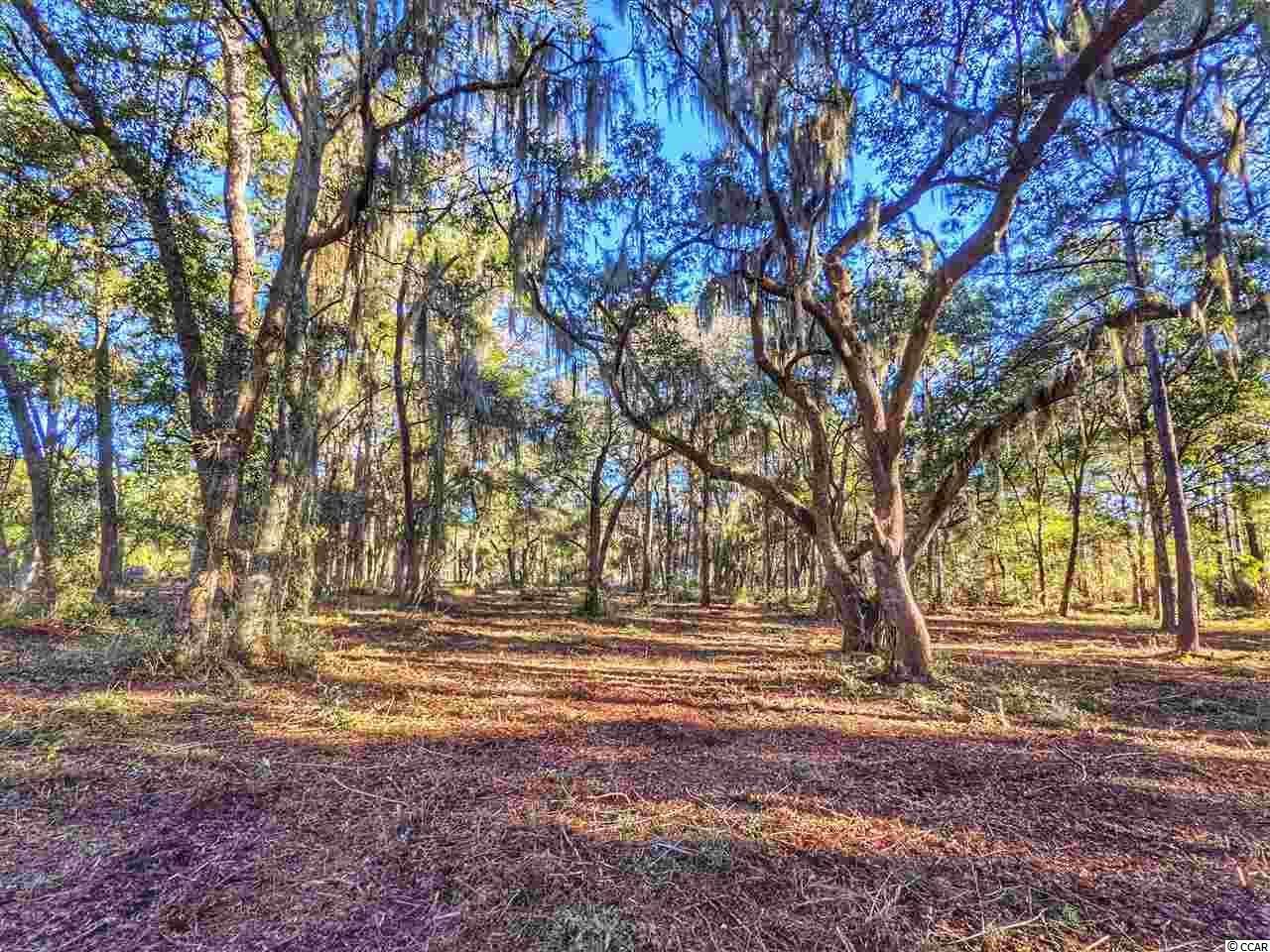 0 Ocean Hwy. Photo 33